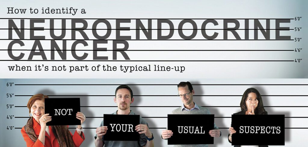 NECA HEADER 1700px HR