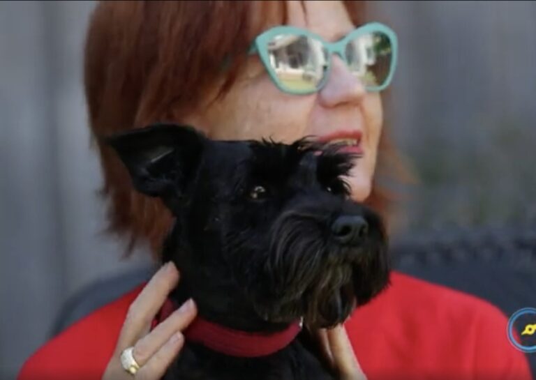 Screen Shot 2024 02 06 at 12.50.07 pm