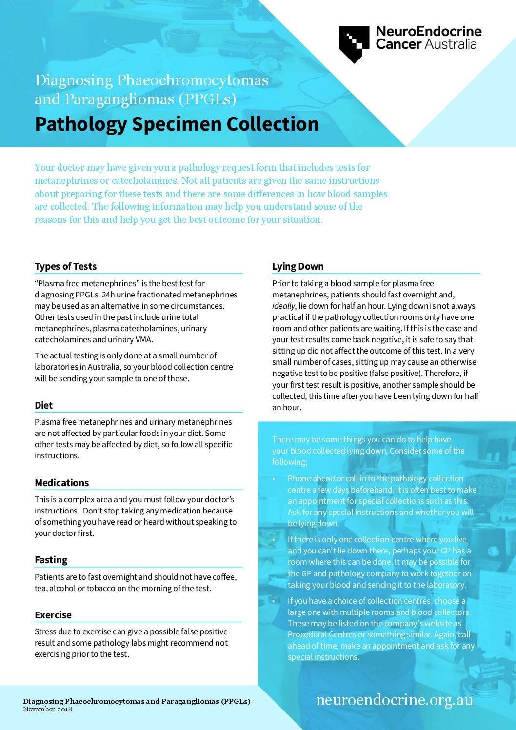 181121 UFD Factsheet PPGLs 2023