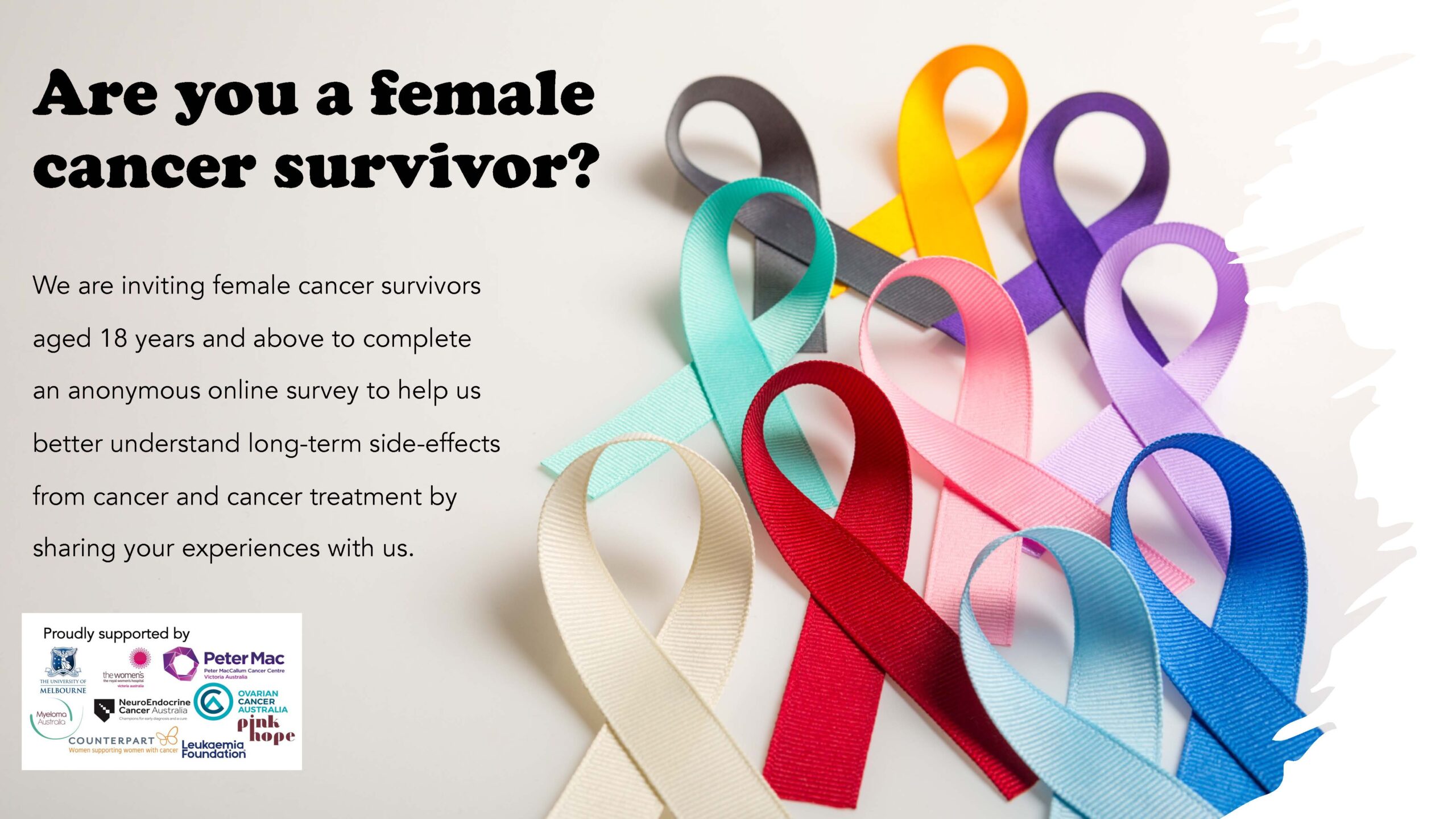 MSC SS Social media posts Page 1 scaled 1