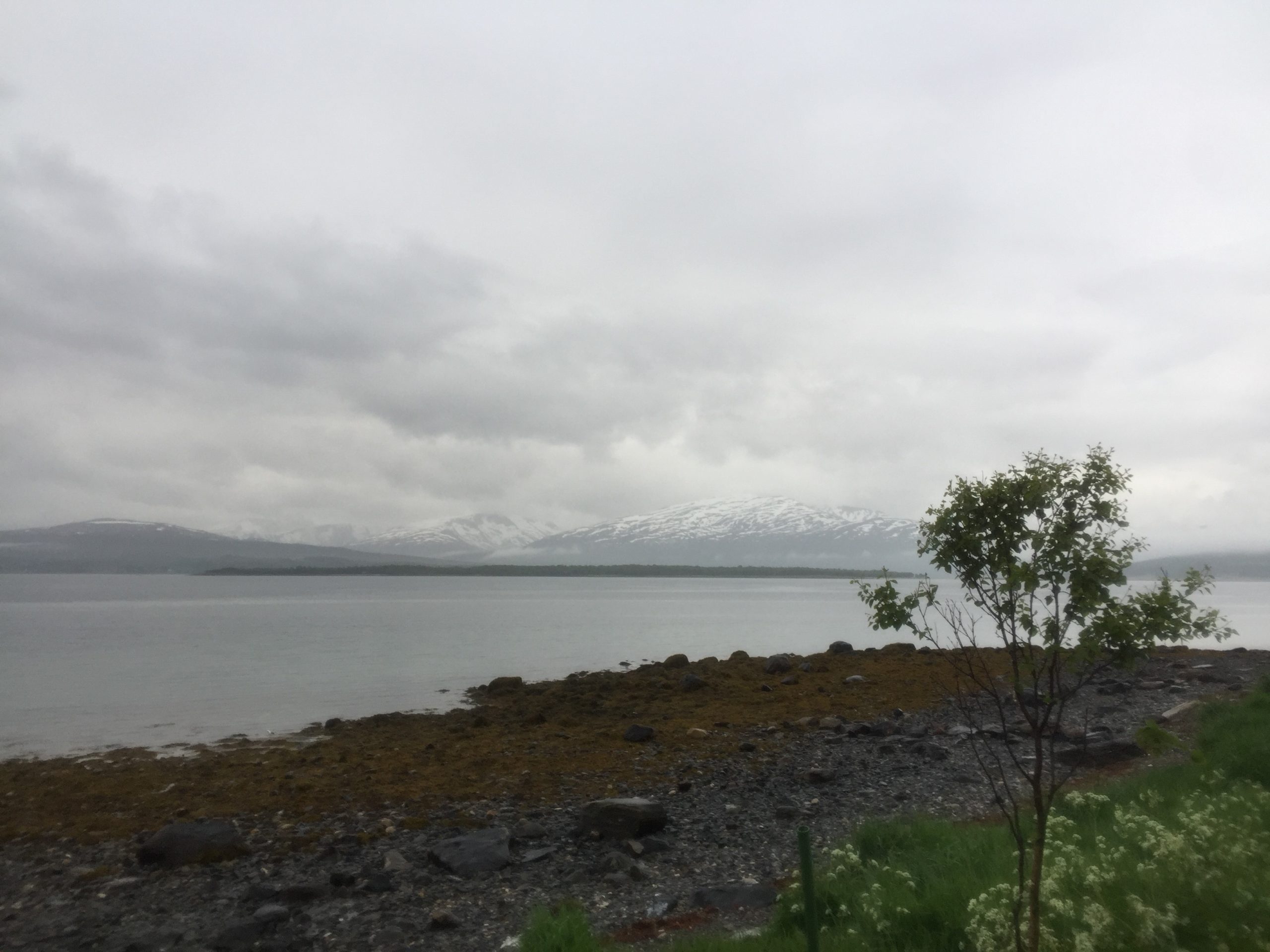 MWhitbread 2 scaled 1