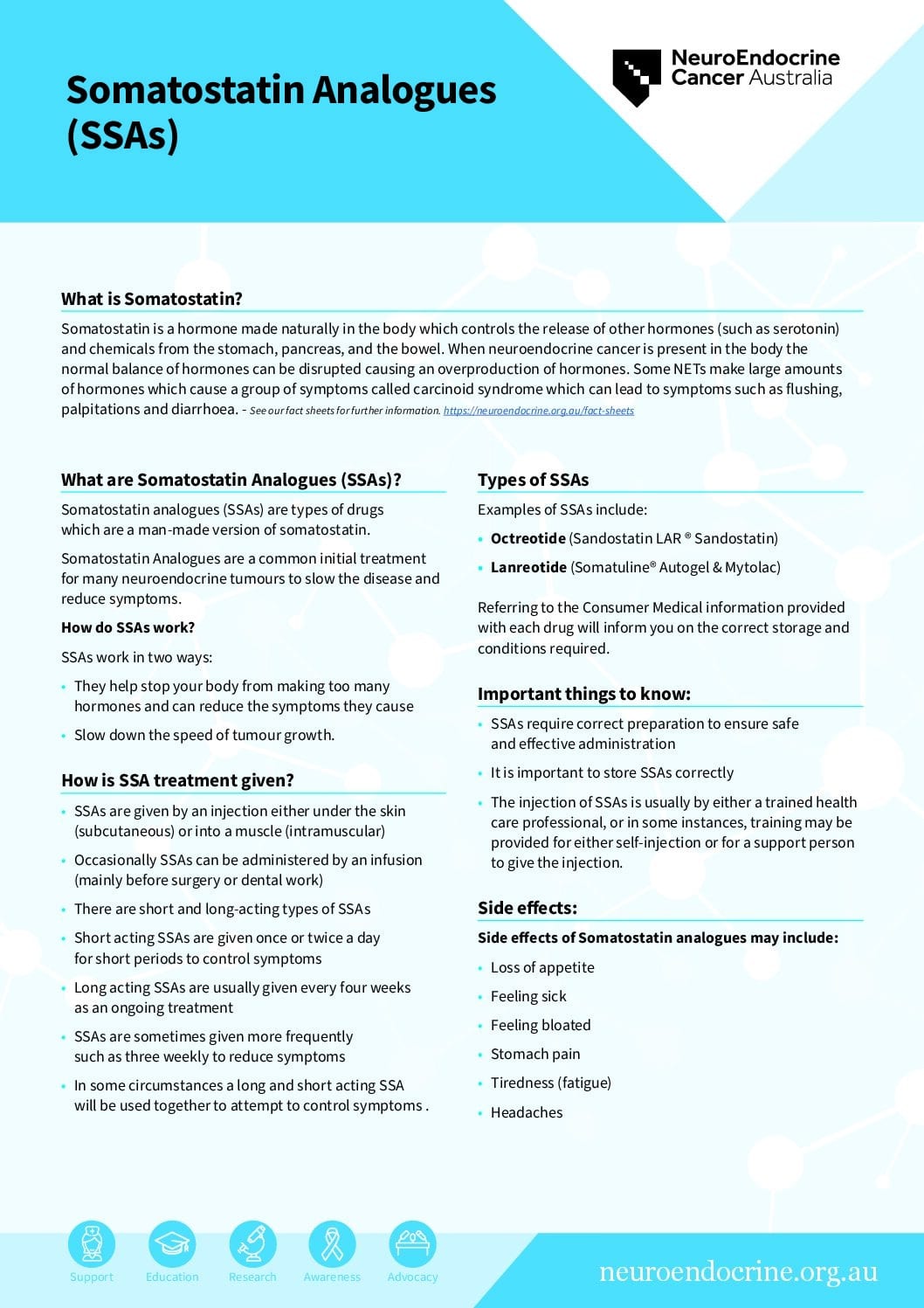 N7256 SSA Factsheet A4 FINAL NB 2023