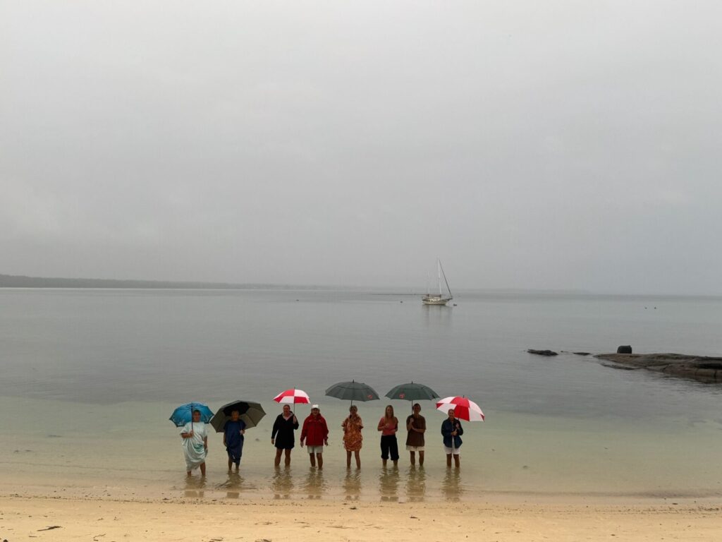 Umbrellas Shark Net Bay