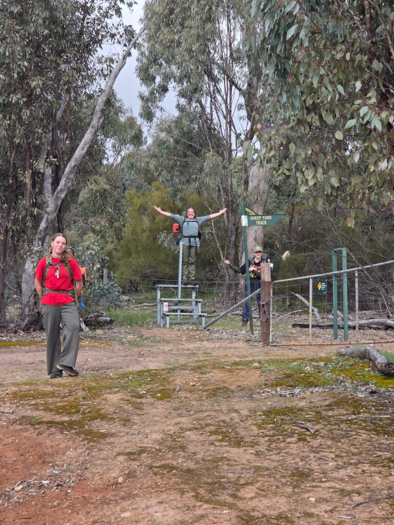 37607bde 8408 409e b787 c7ee6f7d0e3e