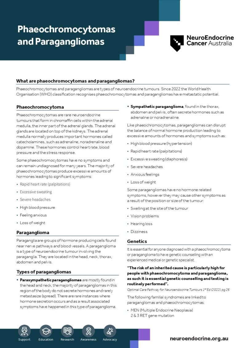 NECA Para Phaeo Factsheet A4