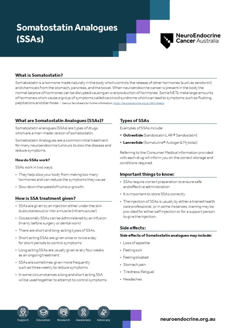 SSA Factsheet A4 Sept26