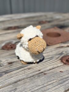 Must love wool 2 sheep